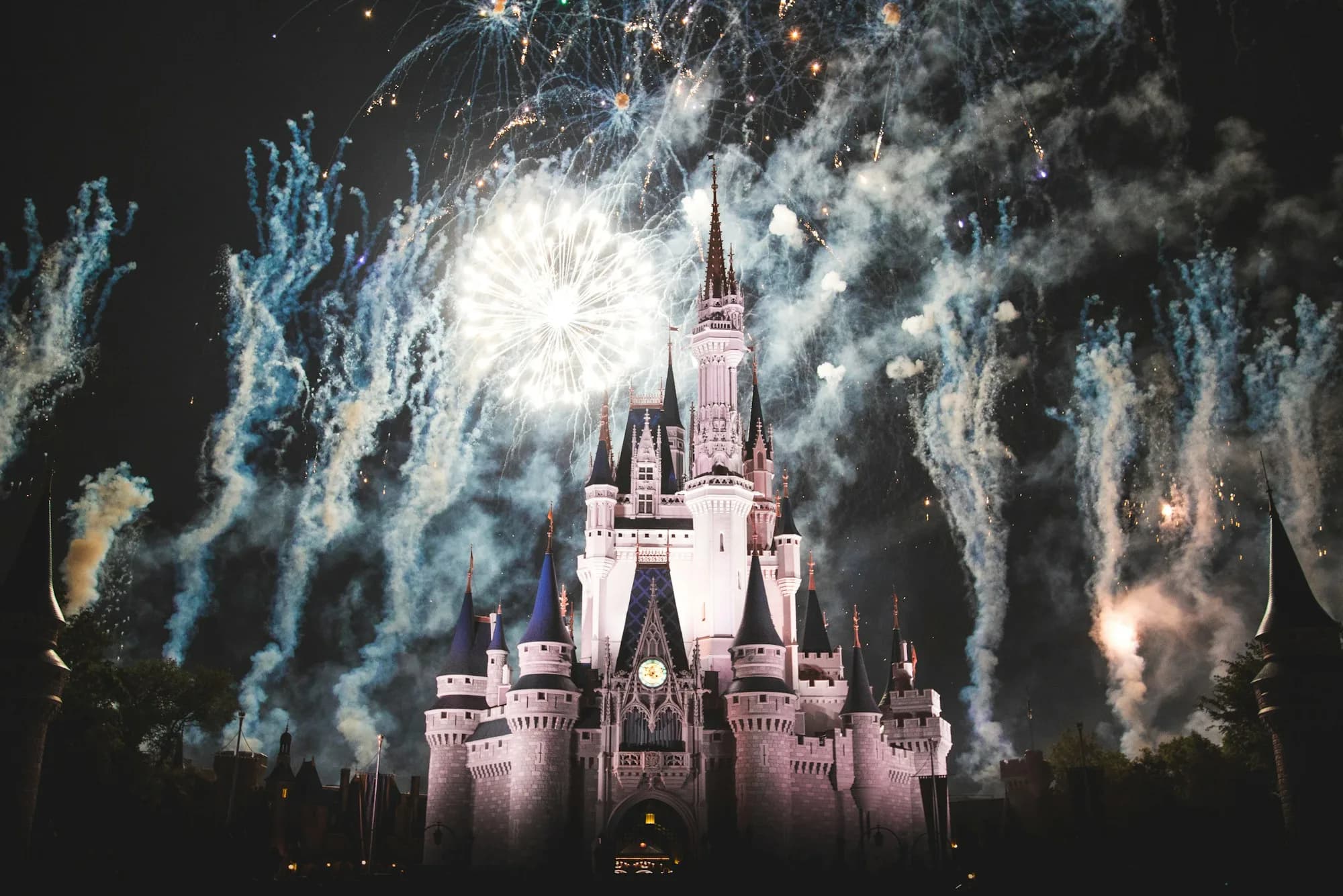 Where dreams come true