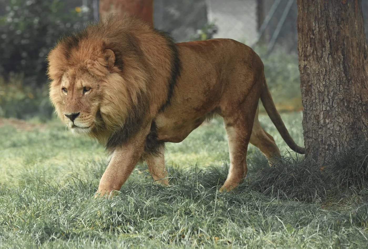 Explore the wonders of nature and be amazed by these destinations